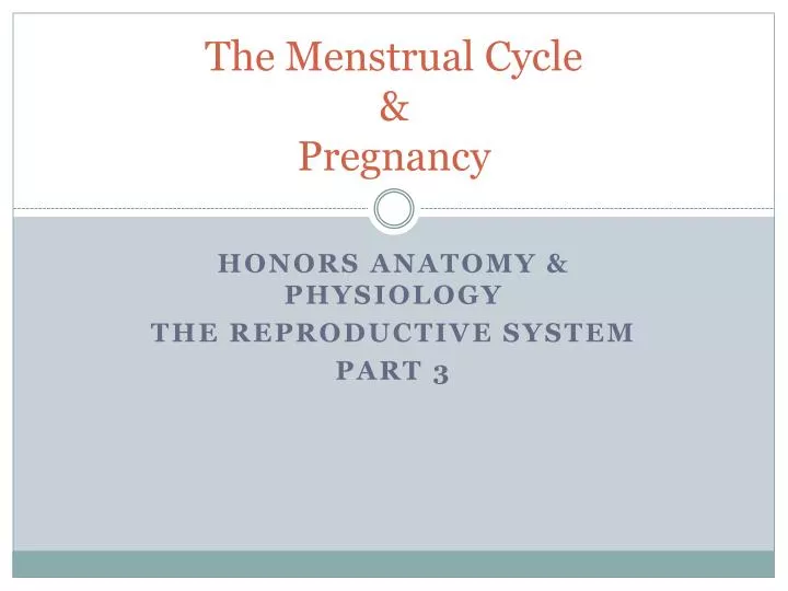 PPT - The Menstrual Cycle & Pregnancy PowerPoint Presentation, free  download - ID:1879127