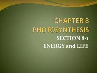 CHAPTER 8 PHOTOSYNTHESIS