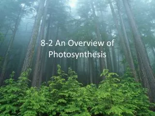 8-2 An Overview of Photosynthesis