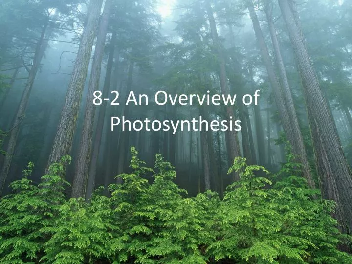 8 2 an overview of photosynthesis