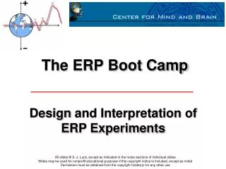 The ERP Boot Camp