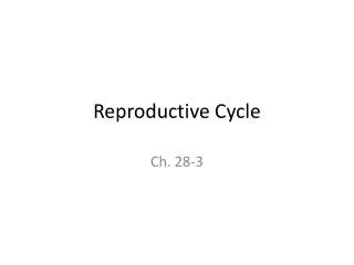 Reproductive Cycle