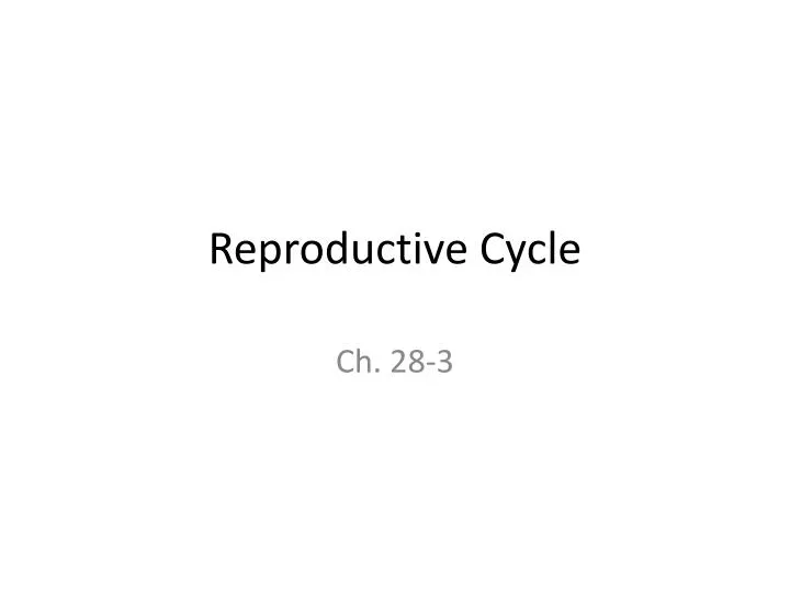 reproductive cycle