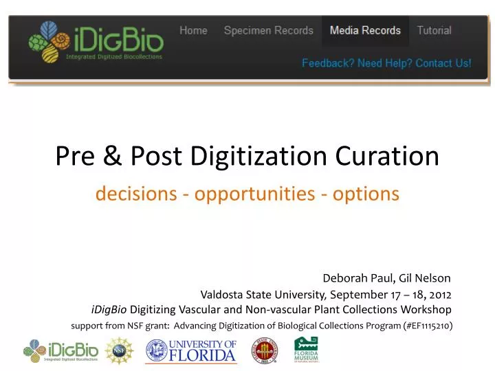 pre post digitization curation