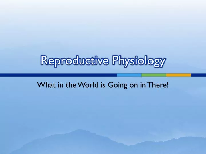 Ppt Reproductive Physiology Powerpoint Presentation Free Download Id1879234