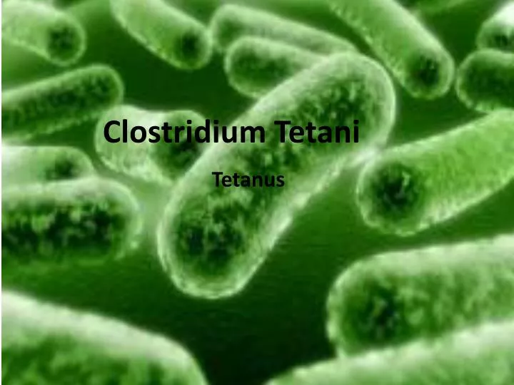 clostridium tetani