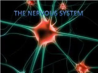 The Nervous System