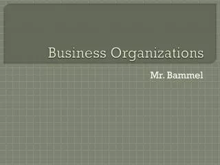 Business Organizations