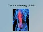 The Neurobiology of Pain