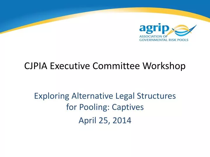 cjpia executive committee workshop