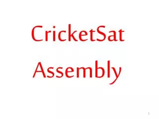 CricketSat Assembly