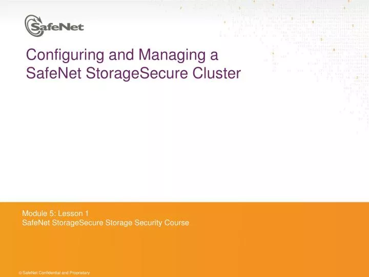 configuring and managing a safenet storagesecure cluster