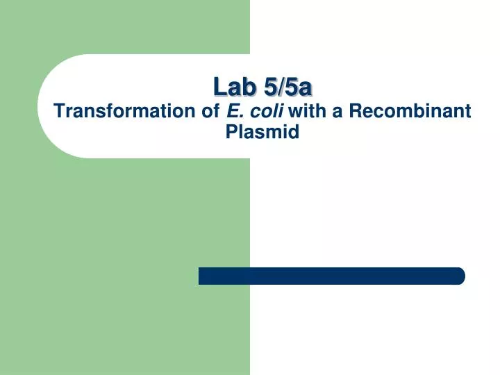 lab 5 5a transformation of e coli with a recombinant plasmid