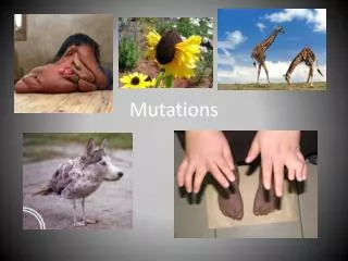 mutations