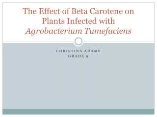 The Effect of Beta Carotene on Plants Infected with Agrobacterium Tumefaciens