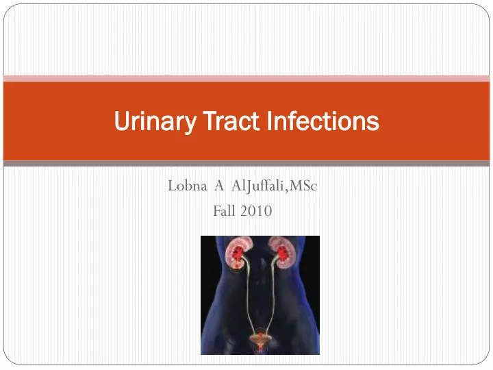 Ppt Urinary Tract Infections Powerpoint Presentation Free Download Id1879898