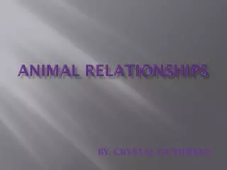 ANIMAL relationships