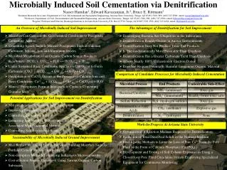 Microbes Can Generate the Geochemical Conditions to Precipitate Cementing Agents