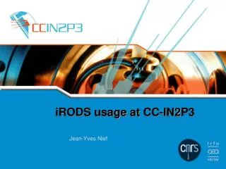 iRODS usage at CC-IN2P3
