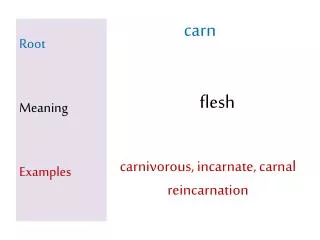 Root Meaning Examples