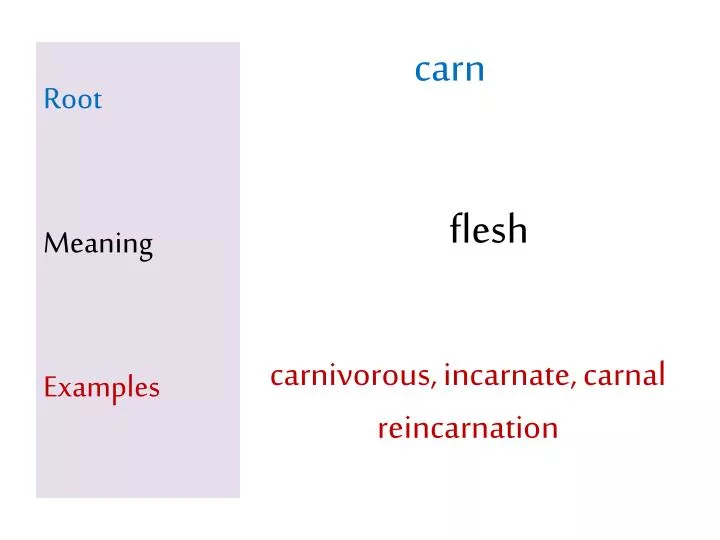 root meaning examples