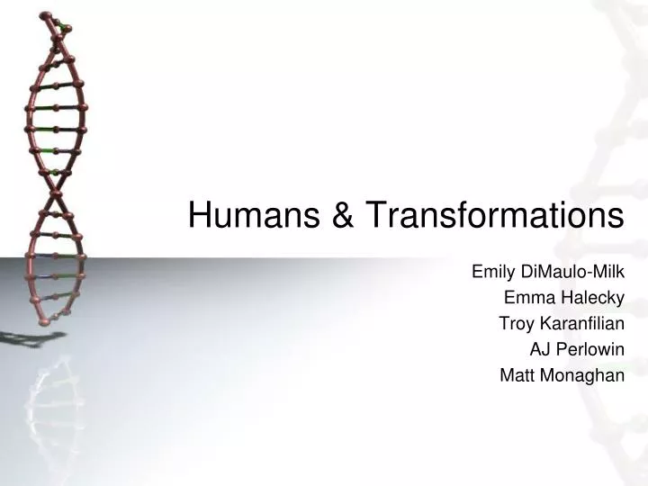 humans transformations