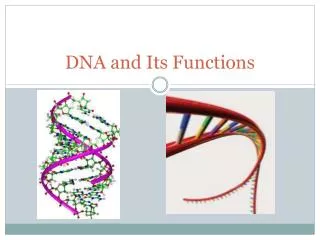 DNA and Its Functions