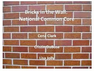 Bricks in the Wall: National Common Core