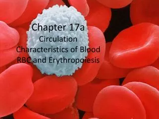 Chapter 17a Circulation Characteristics of Blood RBC and Erythropoiesis