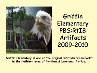 Griffin Elementary PBS:RtIB Artifacts 2009-2010