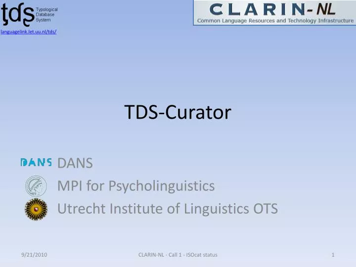 tds curator
