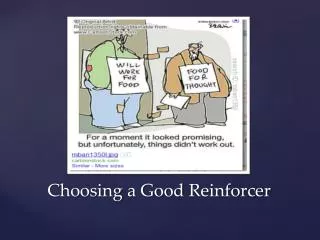 Choosing a Good Reinforcer