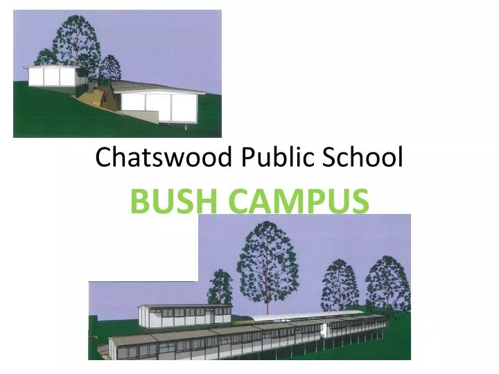 chatswood public school
