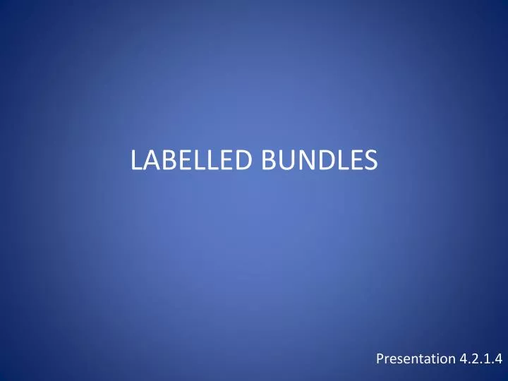 labelled bundles