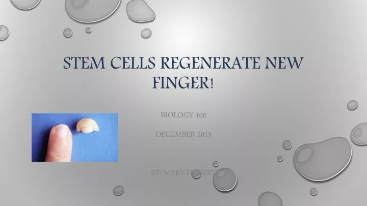 stem cells regenerate new finger