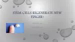 Stem Cells regenerate new finger! - slide 1