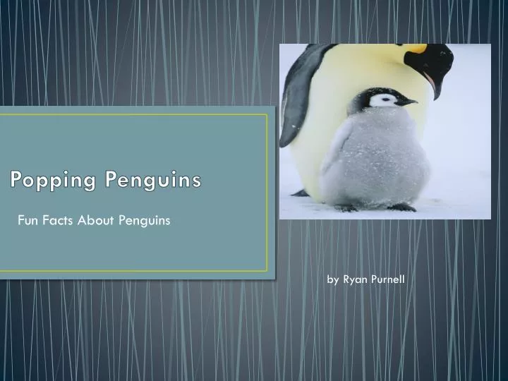 popping penguins