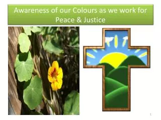 Awareness of our Colours as we work for Peace &amp; Justice