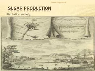 Sugar production