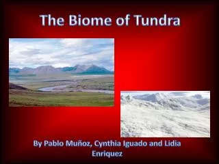 The Biome of Tundra