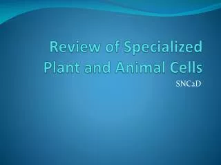 Review of Specialized Plant and Animal Cells