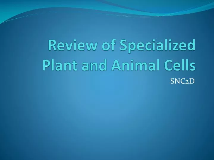 review of specialized plant and animal cells
