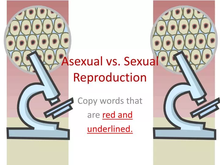 Ppt Asexual Vs Sexual Reproduction Powerpoint Presentation Free Download Id1880989 