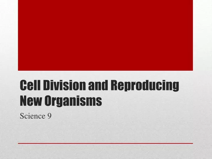 cell division and reproducing new organisms