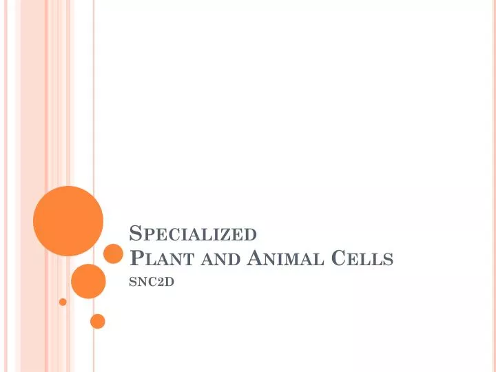 specialized plant and animal cells