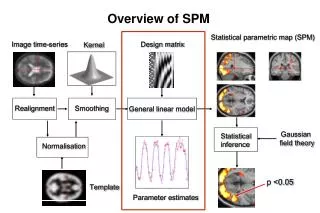 Overview of SPM