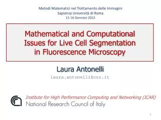 Mathematical and Computational Issues for Live Cell Segmentation in Fluorescence Microscopy