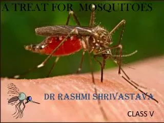 A TREAT FOR MOSQUITOES