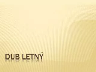dub letn