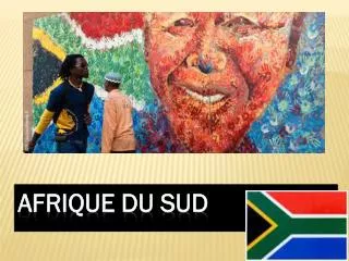 afrique du sud